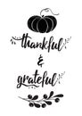 Thankful grateful text decorative vector lettering phrase pumpkin fall branch Thanksgiving day word Royalty Free Stock Photo