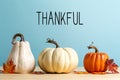 Thankful message with pumpkins Royalty Free Stock Photo
