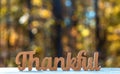 Thankful message Thanksgiving theme