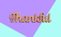 Thankful wooden text from above