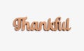 Thankful wooden text from above