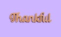 Thankful wooden text from above