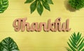 Thankful wooden text with tropical leaves