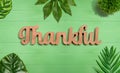 Thankful wooden text with tropical leaves