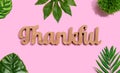 Thankful wooden text with tropical leaves