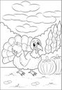 Ayam kalkun membawa buah buahan Happy Thanskgiving Coloring Page