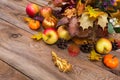 Thanksgiving arrangement with maple and oak leaves Royalty Free Stock Photo