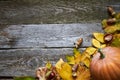 Thanksgiving autumn background on a dark wooden surface, pumpkins, withered leaves, acorns and chestnuts, selective focus