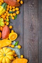 Thanksgiving Autumn Background, Variety of Orange Fruits and Vegetables on Dark Wooden Background with Free Space for Text