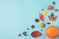 Thanksgiving or autumn composition. Dried leaves, pumpkin, flowers, berries, nuts on blue background. flat lay