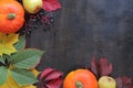 Autumn background with ripe pumpkins, leaves, apples and pears on a dark wooden table Royalty Free Stock Photo