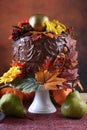 Thanksgiving Autumn Fall Theme Chocolate Cake Royalty Free Stock Photo