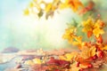 Thanksgiving or autumn scene with leaves and berries on wooden table. Autumn background with falling leaves