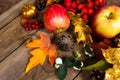 Thanksgiving background with apples, golden oak leaf Royalty Free Stock Photo