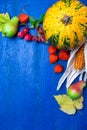 Thanksgiving background with autumn fruits and gourds on a blue rustic wooden table. Autumn harvest. Top view. Copy space. Thanksg Royalty Free Stock Photo