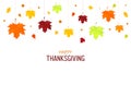 Thanksgiving background. Autumn leaves Royalty Free Stock Photo