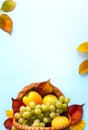 Thanksgiving background; basket with autumn fresh Fruit and autumn leaves