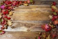 Thanksgiving background with berries, acorn and fall oak leaves Royalty Free Stock Photo