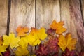 Thanksgiving background with fall maple leaves, copy space Royalty Free Stock Photo