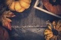 Thanksgiving background with fruit and vegetable on wood in autumn and Fall harvest season. Royalty Free Stock Photo