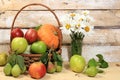 Thanksgiving background, harvest concept, autumn composition with fruits, natural berries, pumpkins, pears, apples, flowers on a Royalty Free Stock Photo