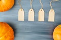 Thanksgiving background. Pumpkin with four tags on gray wood table background with copy space. Thanksgiving and