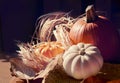 Thanksgiving Background with Pumpkins. Retro card