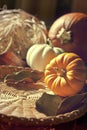 Thanksgiving Background with Pumpkins. Retro card