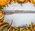 Thanksgiving background. Pumpkins on a white wooden background. Free space for text. View from above. Royalty Free Stock Photo