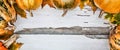 Thanksgiving background. Pumpkins on a white wooden background. Free space for text. View from above. Royalty Free Stock Photo