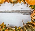 Thanksgiving background. Pumpkins on a white wooden background. Free space for text. View from above. Royalty Free Stock Photo