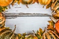 Thanksgiving background. Pumpkins on a white wooden background. Free space for text. View from above. Royalty Free Stock Photo