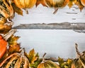 Thanksgiving background. Pumpkins on a white wooden background. Free space for text. View from above. Royalty Free Stock Photo