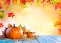 Thanksgiving Background - Pumpkins On Wooden Plank