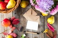 Thanksgiving background with seasonal fruits, flowers, greeting card, few craft envelopes on a rustic wooden table. Autumn harvest Royalty Free Stock Photo