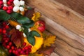 Thanksgiving background with snowberry, rowan, fall leaves Royalty Free Stock Photo