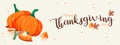 Thanksgiving banner Festive background with orange pumpkins, autumn leaves with cute desserts. horizontal holiday poster website