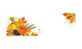 Thanksgiving banner with space for text, autumn vegetables, fruits and leaves vector Illustration Royalty Free Stock Photo