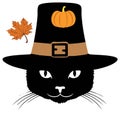 Thanksgiving Black Cat Pilgrim Hat Pumpkin Maple Leaf Illustration Royalty Free Stock Photo