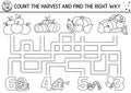 Thanksgiving black and white maze for children. Autumn holiday line printable counting activity. Fall labyrinth game or coloring