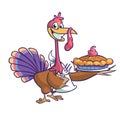 Thanksgiving Cartoon Turkey bird greeting card. Vector illustration of funny turkey character clipart. Royalty Free Stock Photo