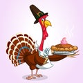 Thanksgiving Cartoon Turkey holding fork and pie isolated. Royalty Free Stock Photo
