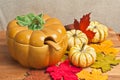 Thanksgiving ceramic soup bowl Royalty Free Stock Photo