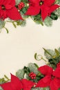 Thanksgiving and Christmas Poinsettia Flower Border Royalty Free Stock Photo