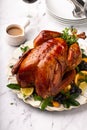 Thanksgiving or Christmas turkey