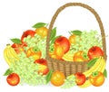 Thanksgiving. Collected a generous harvest. In the basket are apples, bananas, grapes, persimmons and oranges. Fresh beautiful