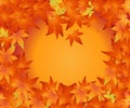 Thanksgiving Concept Royalty Free Stock Photo