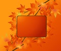 Thanksgiving Concept Royalty Free Stock Photo