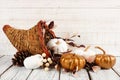 Thanksgiving cornucopia with white and gold pumpkins against white wood