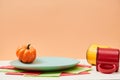 Thanksgiving day. Autumn harvest festival. Party decoration. Plate with orange pumpkin. Copy space on peach backdrop Royalty Free Stock Photo